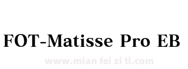 FOT-Matisse Pro EB