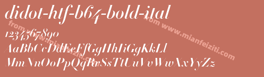 didot-htf-b64-bold-ital字体预览