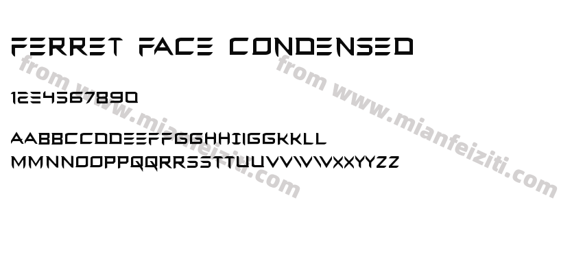 Ferret Face Condensed字体预览