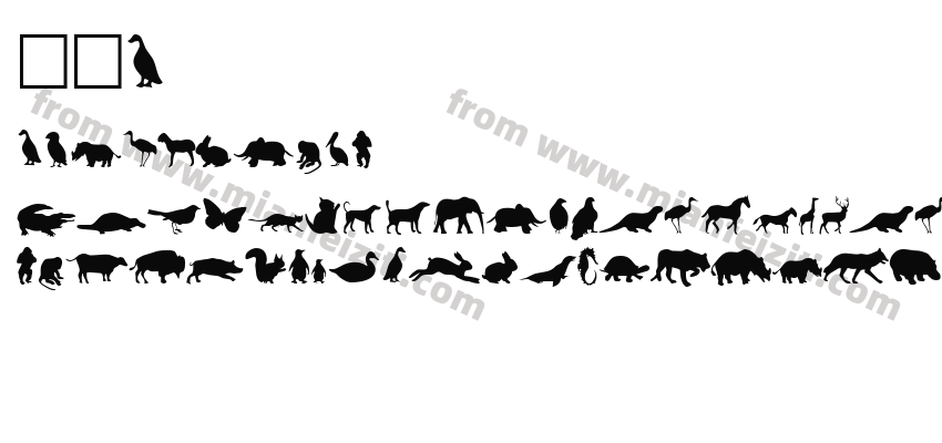 动物1字体预览